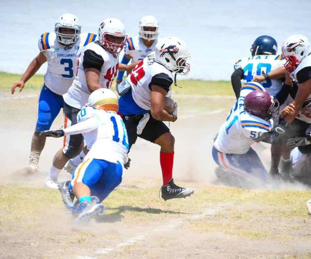 Sigue Búfalos con paso firme rumbo a playoffs Sigue Búfalos con paso firme rumbo a playoffs