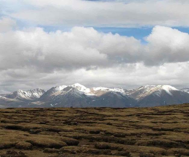 Temen que deshielo libere bacterias  de glaciares