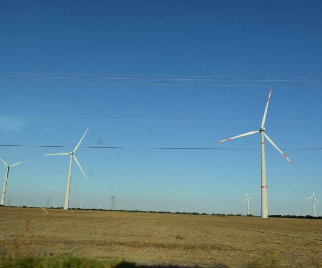 Optan comercios por los molinos de viento