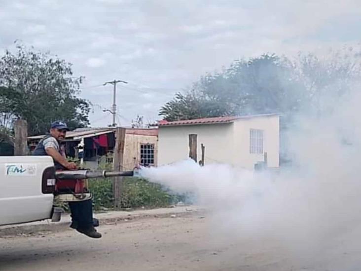 Temen contagios por dengue Temen contagios por dengue