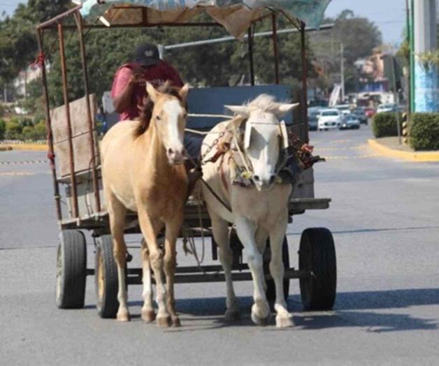 Sancionarán a quien rellene las lagunas