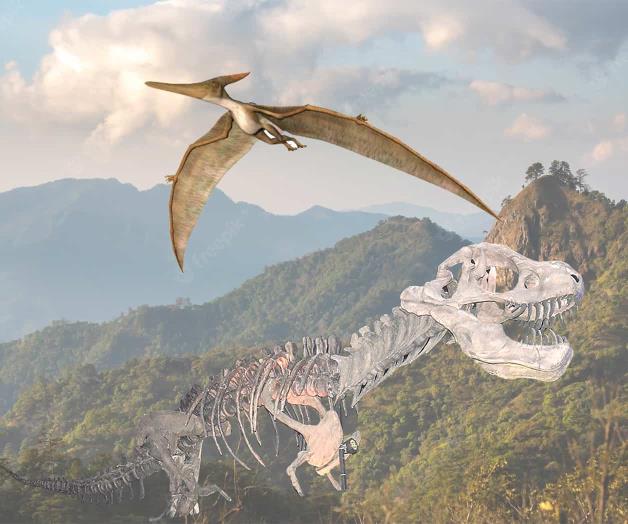 Viaje a la Prehistoria