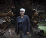 "El bosque de Chapultepec es el espacio más democrático de la Ciudad de México"