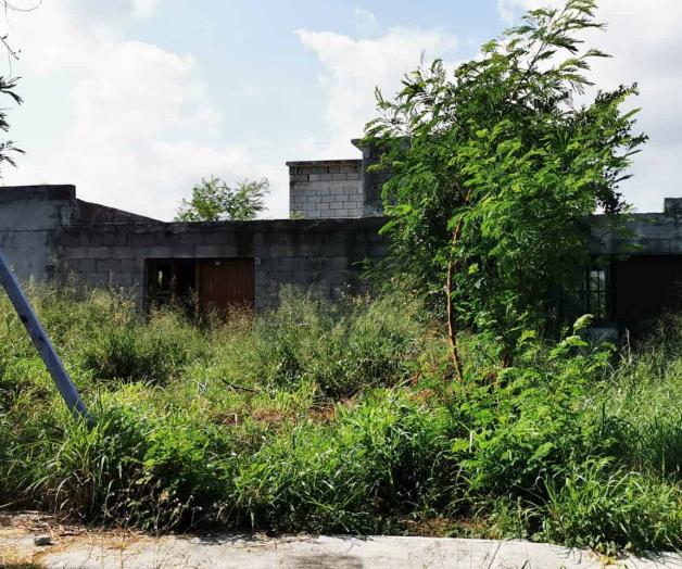 Animales ponzoñosos  invaden las viviendas