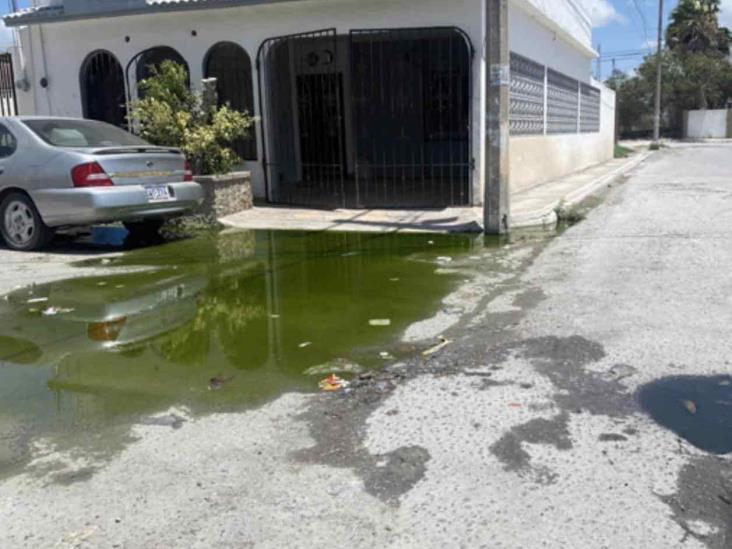 Brota fuga de aguas negras Brota fuga de aguas negras