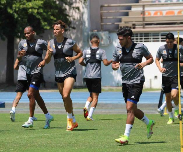 ¿Refuerzos en Tigres? ¿Refuerzos en Tigres?