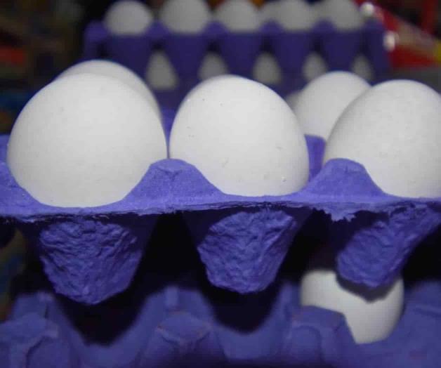 Le salen alas al precio del huevo