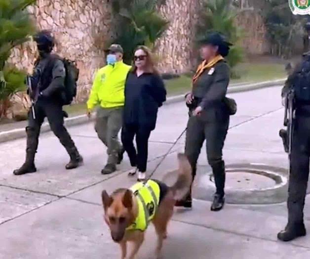 Cae diseñadora colombiana por productos de animales exóticos 