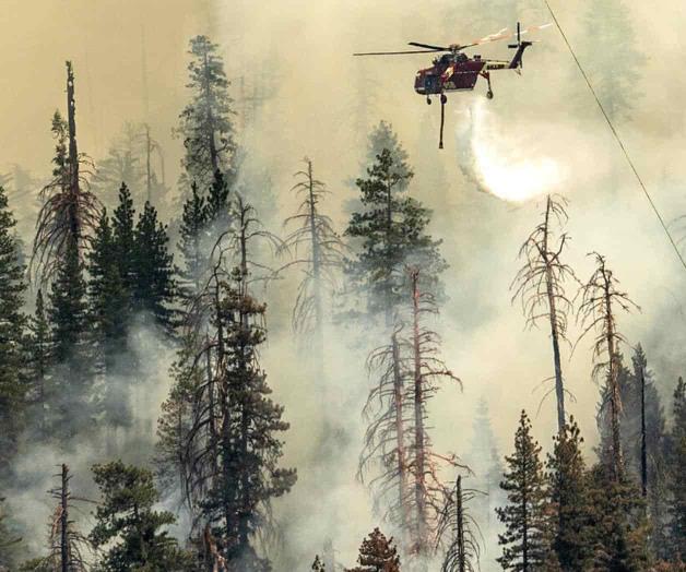 Incendio en Yosemite amenaza bosque de secuoyas gigantes