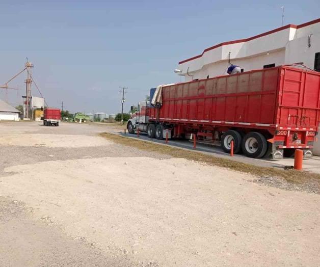 Bodegas reciben más de 600 mil toneladas de sorgo