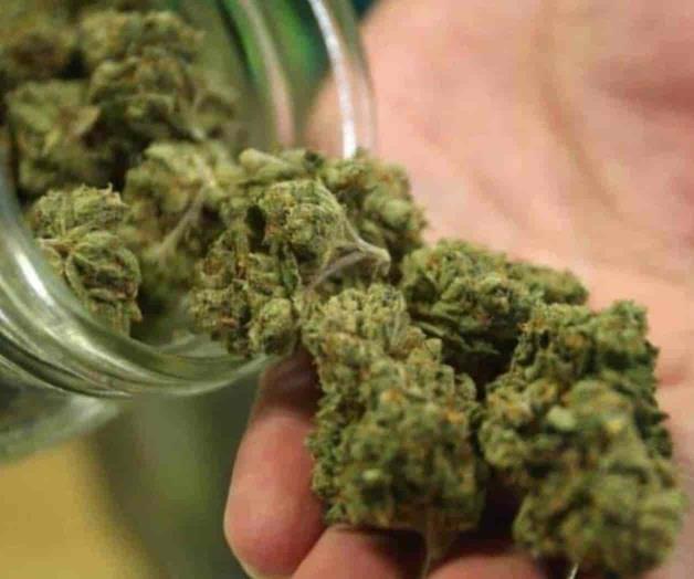 Trasladan mariguana en vehículo de Salud-Quintana Roo