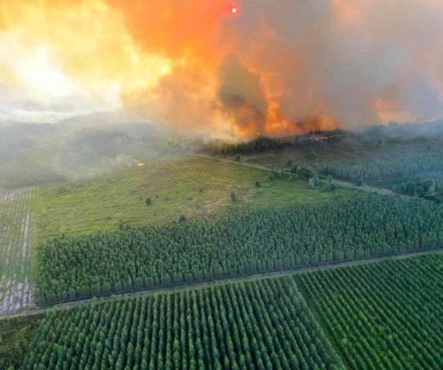 Acción climática o suicidio colectivo.- ONU