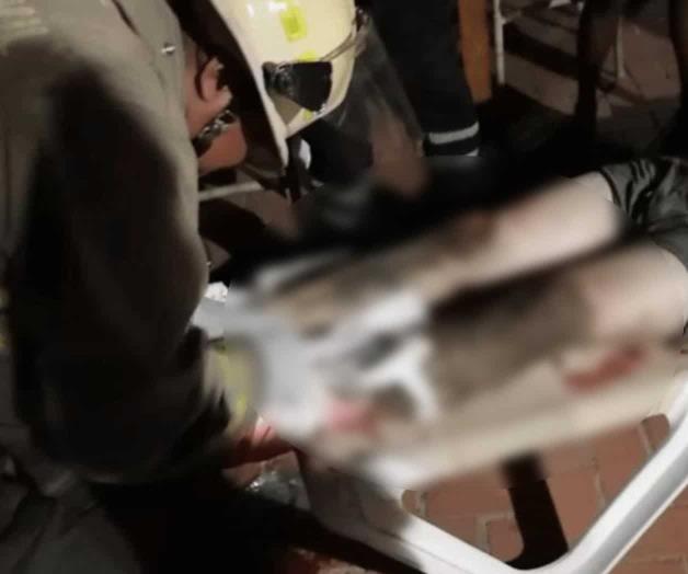 Cocodrilo ataca a turistas de Colorado en Puerto Vallarta