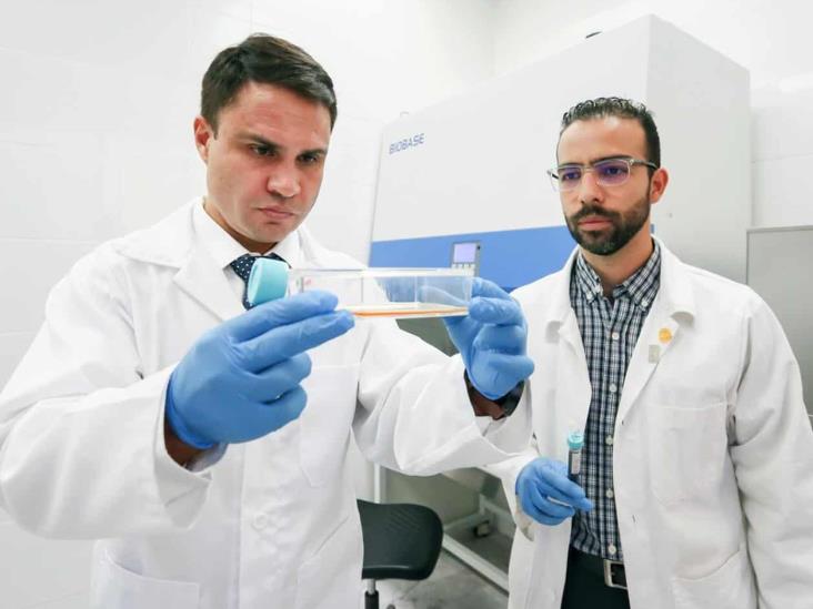 Quieren frenar cáncer y evitar efectos secundarios Quieren frenar cáncer y evitar efectos secundarios