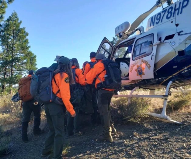 Perro rescata a su dueño tras caer 20 metros en bosque de EU