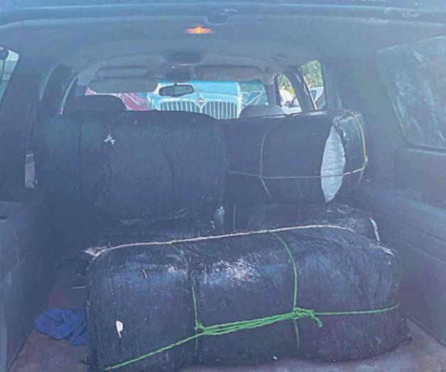 Decomisan marihuana en yonque de vehículos Decomisan marihuana en yonque de vehículos