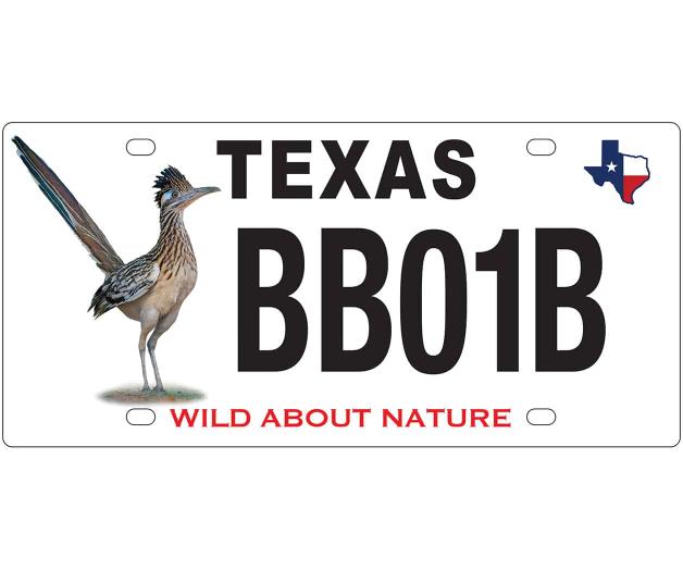 Lanzan nueva placa del ‘Correcaminos’