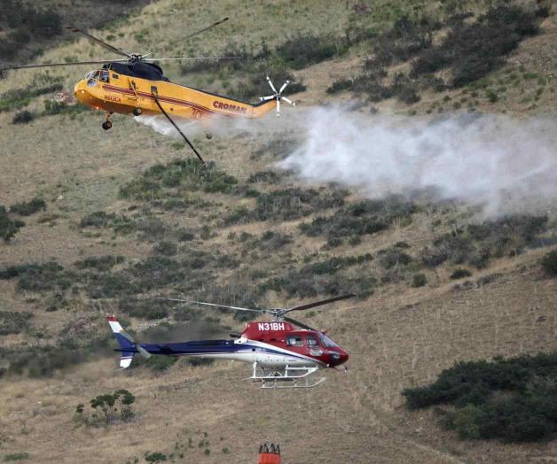 Intenta quemar una araña y causa incendio forestal