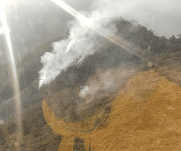 Incendio forestal afecta 15 hectáreas en sierra de Rayones Nuevo León