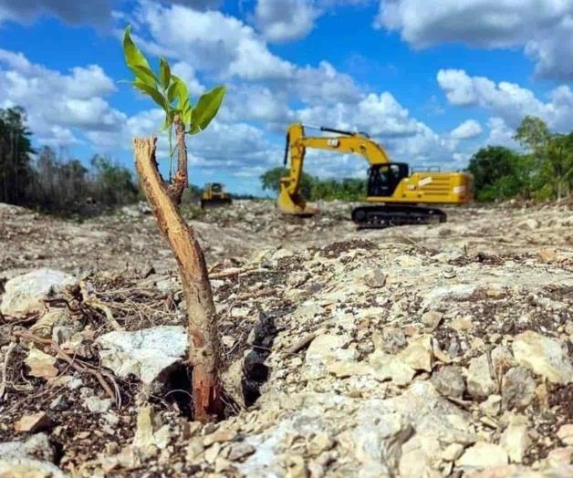 Incumple Tren Maya pacto anticorrupción