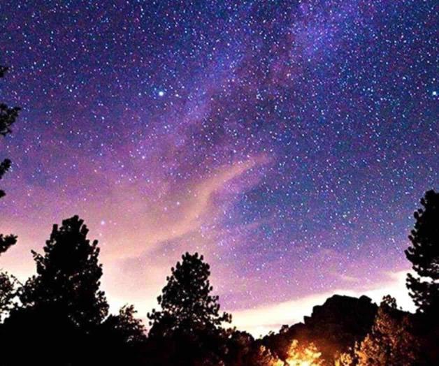 Bajo un manto de estrellas