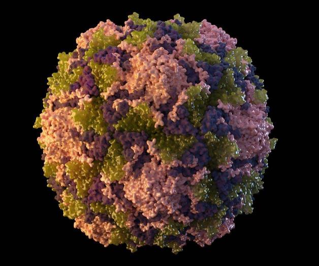 Hallan virus de polio en aguas cloacales