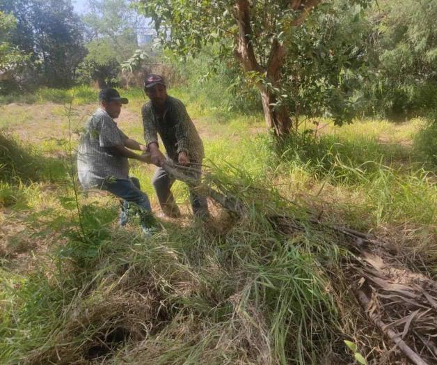 Limpian planteles educativos de Río Bravo