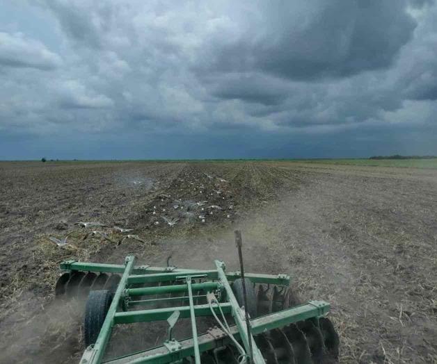 Alistan la tierra para más lluvias