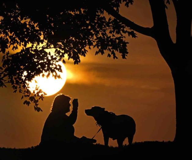 EEUU: Advierten que mascotas pueden contraer viruela símica