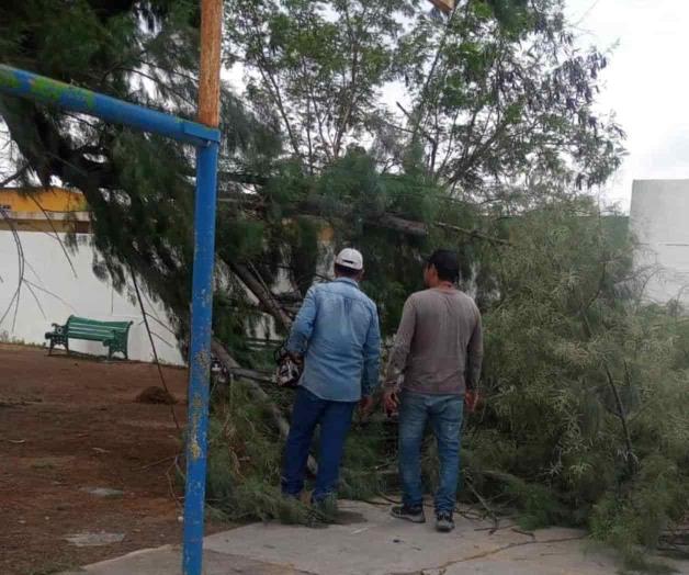 Retira municipio riesgos en plaza de la Monterreal