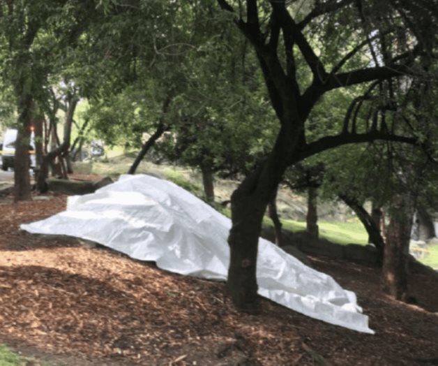 Hallan el cadáver de un hombre flotando en el Lago del Bosque de Chapultepec Hallan el cadáver de un hombre flotando en el Lago del Bosque de Chapultepec