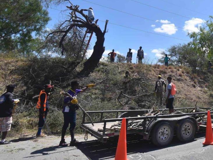 Ayuntamiento de Reynosa en la mira del Congreso por programa ‘Como en Casa’ Ayuntamiento de Reynosa en la mira del Congreso por programa ‘Como en Casa’