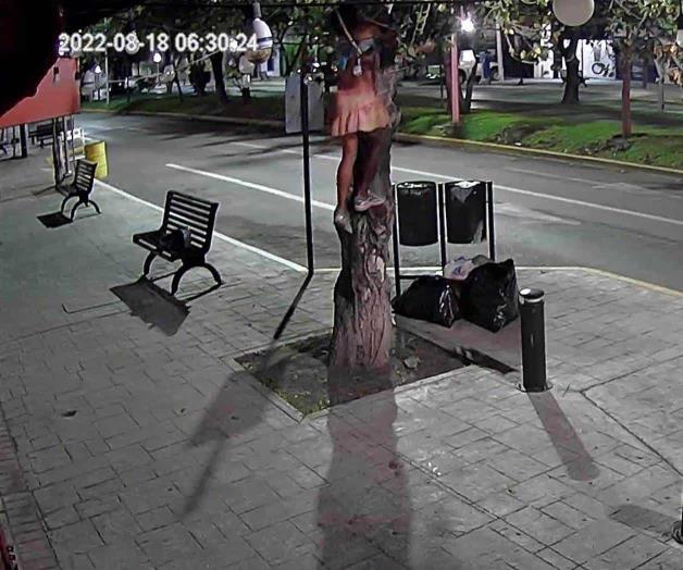 Roban fotoceldas, conectores, pastillas y cableado del alumbrado público Roban fotoceldas, conectores, pastillas y cableado del alumbrado público