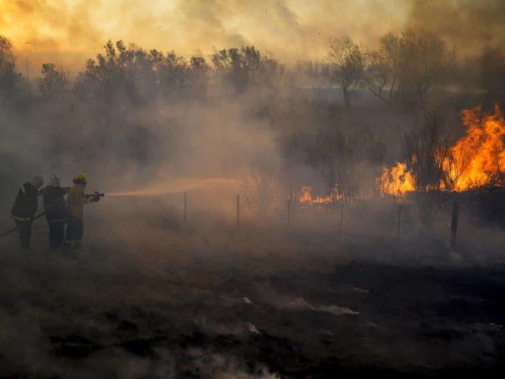Fuego arrasa con 100.000 hectáreas de humedal en Argentina Fuego arrasa con 100.000 hectáreas de humedal en Argentina