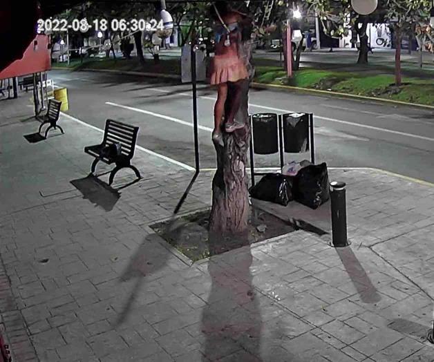 Roban alumbrado a negocios