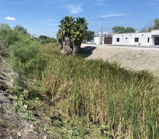 Buscan limpiar dren de manera conjunta