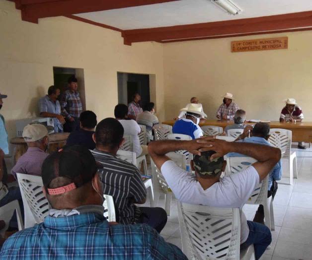 Buscan los campesinos estrategias emergentes Buscan los campesinos estrategias emergentes