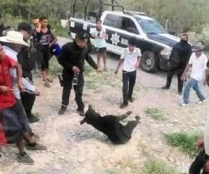 Citarán a involucrados en muerte de osezno en Coahuila