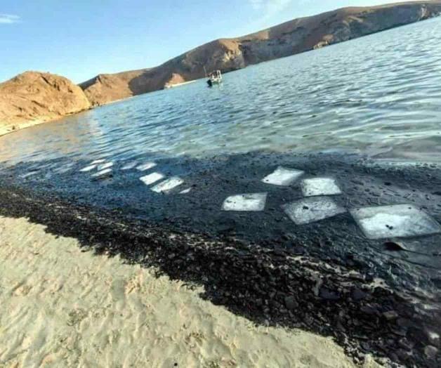Alista Profepa denuncia por contaminación en playa de BCS