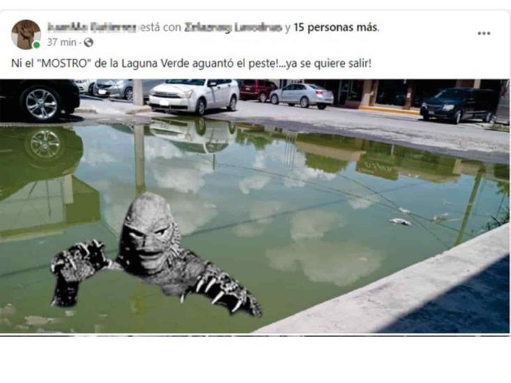 Mantienen con memes reclamo a Comapa por fugas de aguas negra Mantienen con memes reclamo a Comapa por fugas de aguas negra