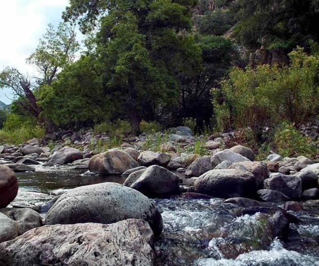 Piden a Conagua revisar sobre explotación de las cuencas Piden a Conagua revisar sobre explotación de las cuencas