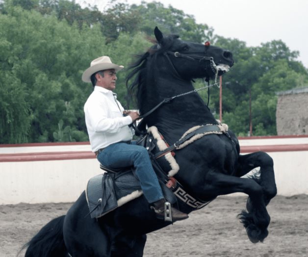 Jueza autoriza que El Bronco pueda salir a trabajar en su rancho todos los días Jueza autoriza que El Bronco pueda salir a trabajar en su rancho todos los días