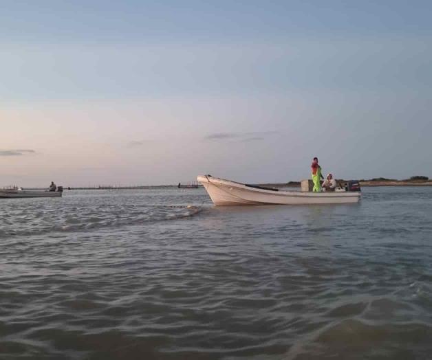 Buscan incrementar producción pesquera