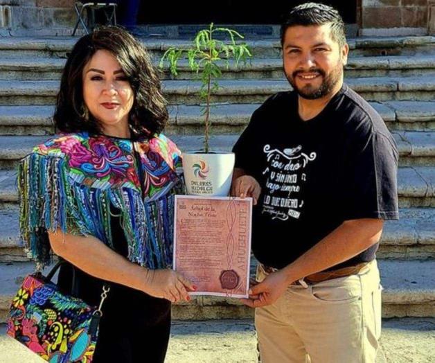 Reciben vástago del árbol de la noche triste