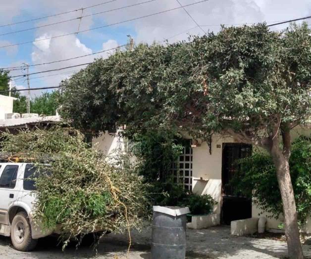 Hacen usuarios el trabajo de CFE