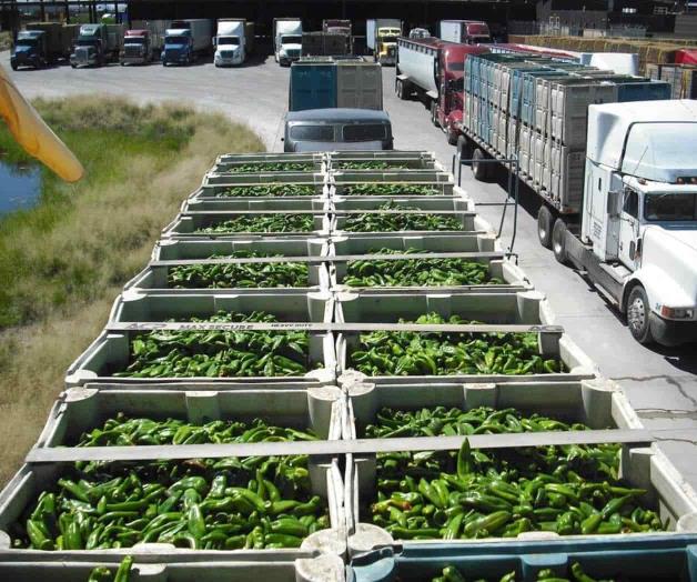 Importaciones de chile saturan frontera de Nuevo México