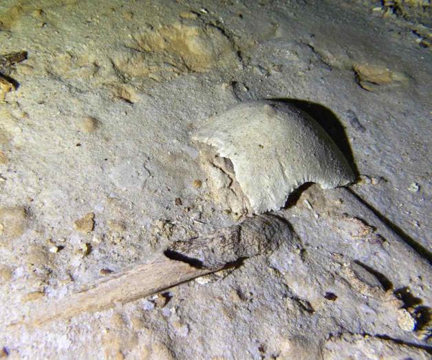 Encuentran esqueleto en cenote amenazado por tren