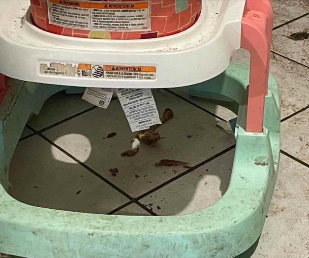 Negligencia criminal infantil