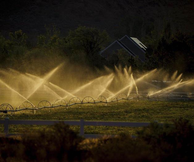 Las granjas del desierto florecen con el Colorado