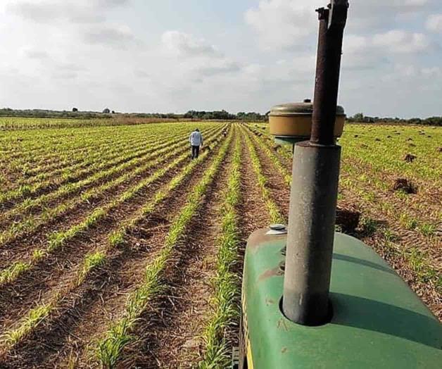 Inicia INEGI Censo Agropecuario 2022